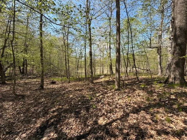 48990 County Highway 17 Vergas, MN 56587