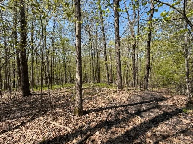 48990 County Highway 17 Vergas, MN 56587