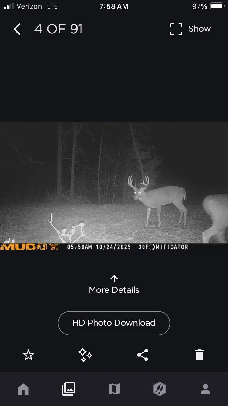 48990 County Highway 17 Vergas, MN 56587