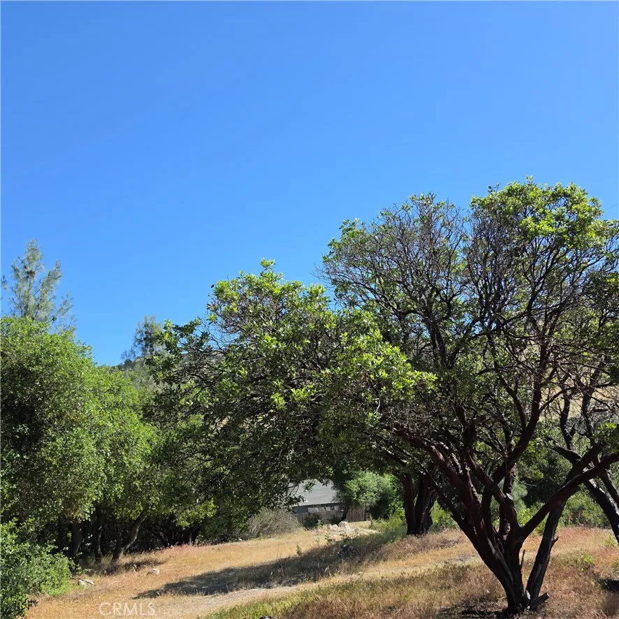 3367 3rd Street Clearlake, CA 95422