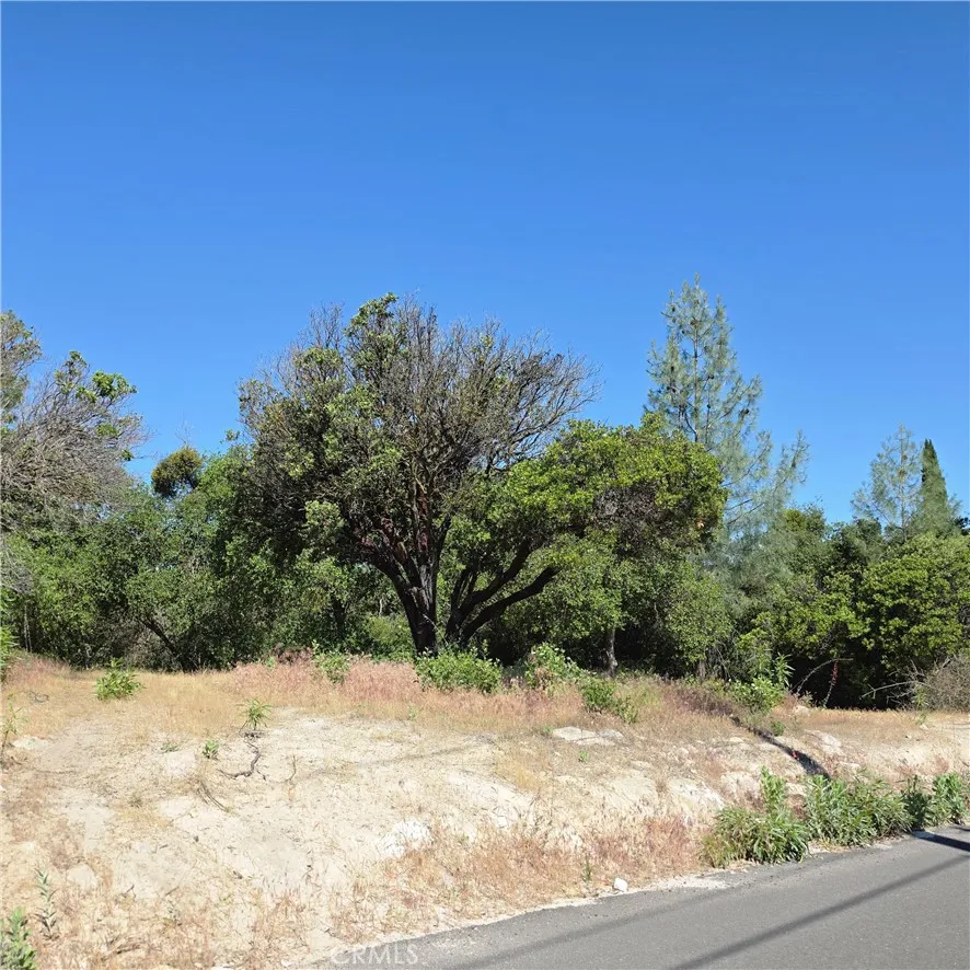 3367 3rd Street Clearlake, CA 95422