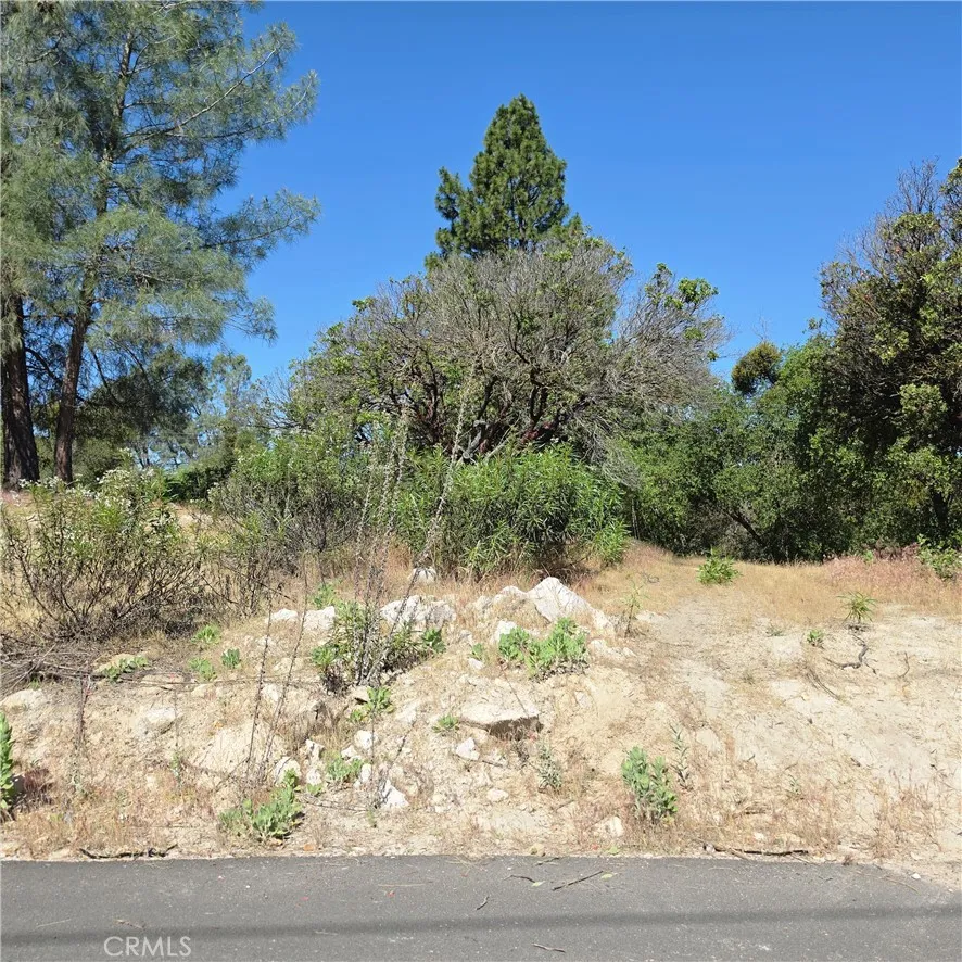 3367 3rd Street Clearlake, CA 95422