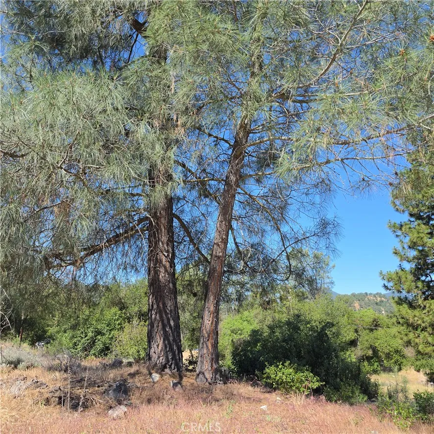 3367 3rd Street Clearlake, CA 95422