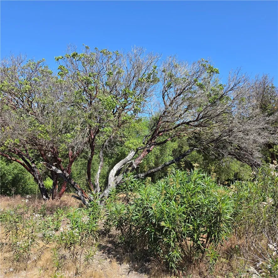 3367 3rd Street Clearlake, CA 95422