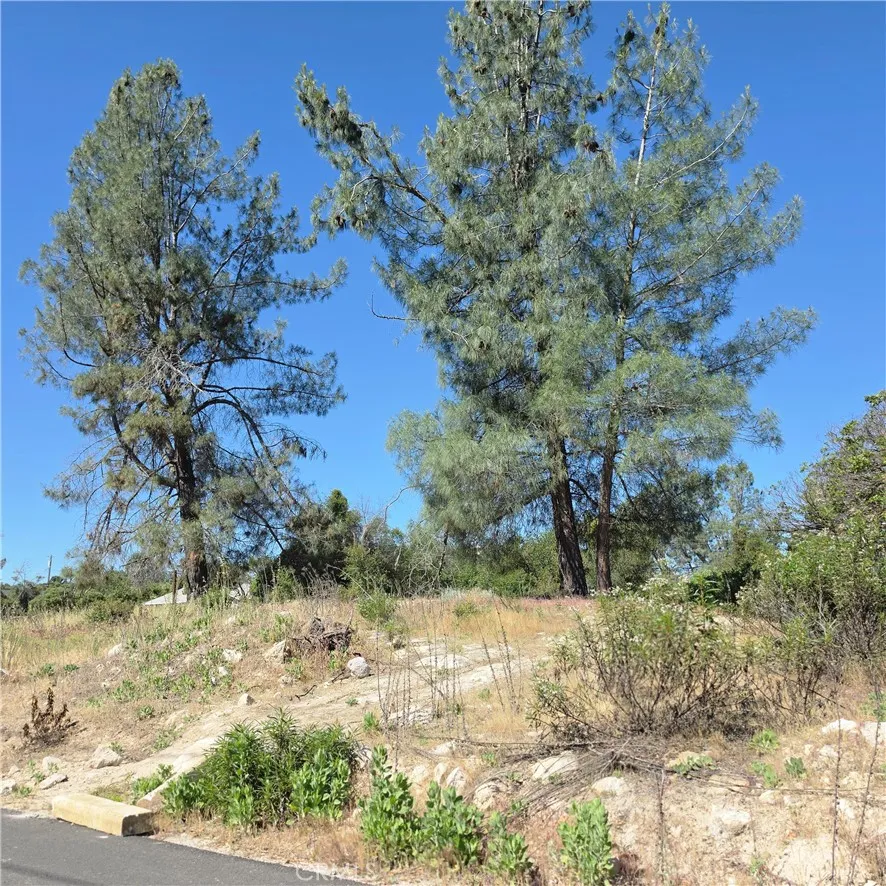 3367 3rd Street Clearlake, CA 95422