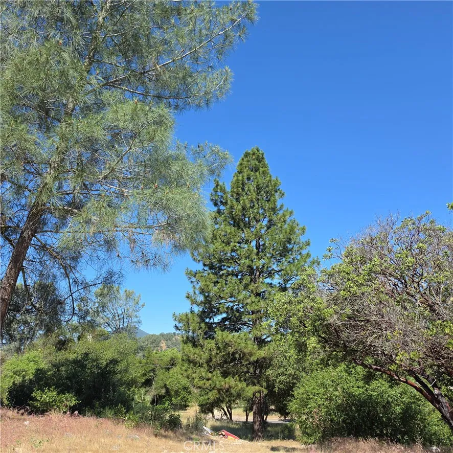 3367 3rd Street Clearlake, CA 95422