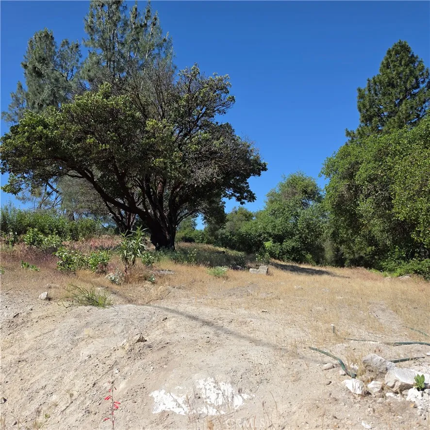 3367 3rd Street Clearlake, CA 95422