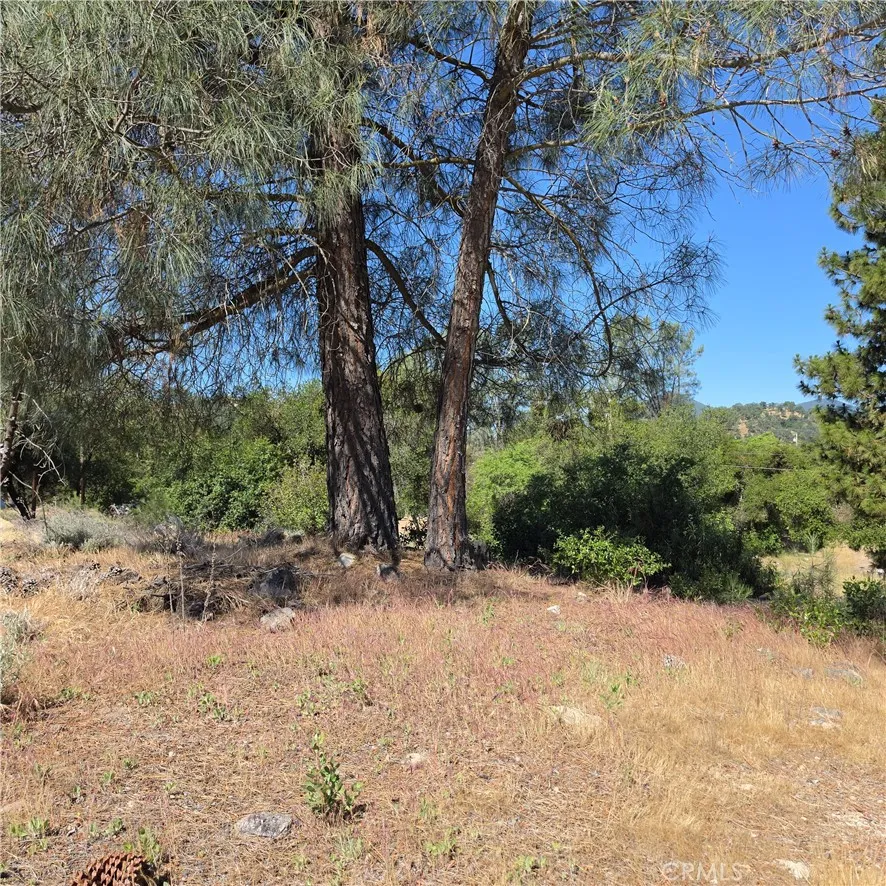 3367 3rd Street Clearlake, CA 95422