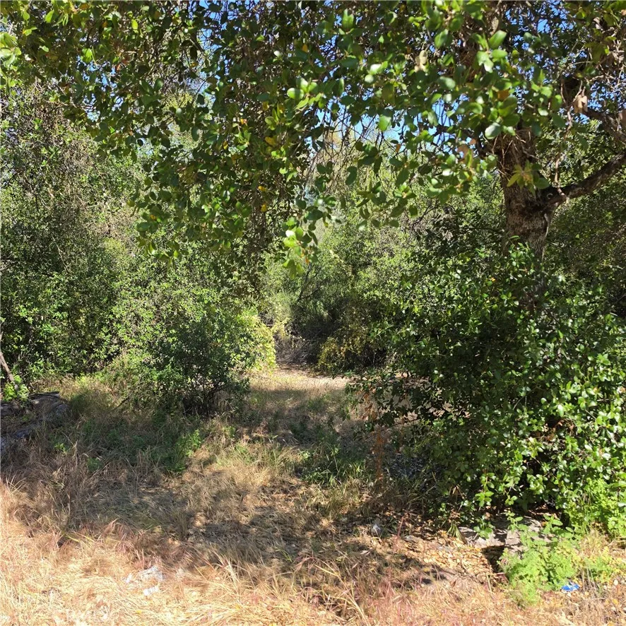 3367 3rd Street Clearlake, CA 95422
