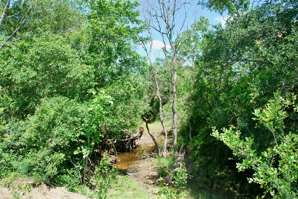 1070 Muehr Road Weimar, TX 78962