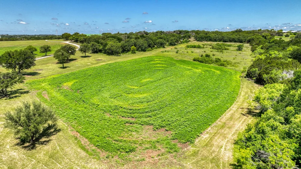 1436 County Road 216 Iredell, TX 76649