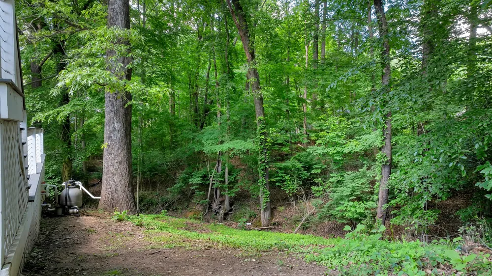 301 McKinney St Estill Springs, TN 37330