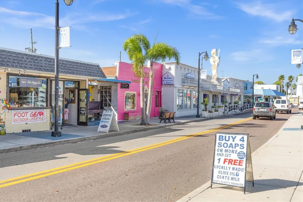 721 BAYSHORE DRIVE Tarpon Springs, FL 34689