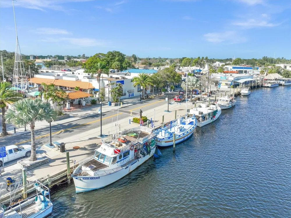 721 BAYSHORE DRIVE Tarpon Springs, FL 34689