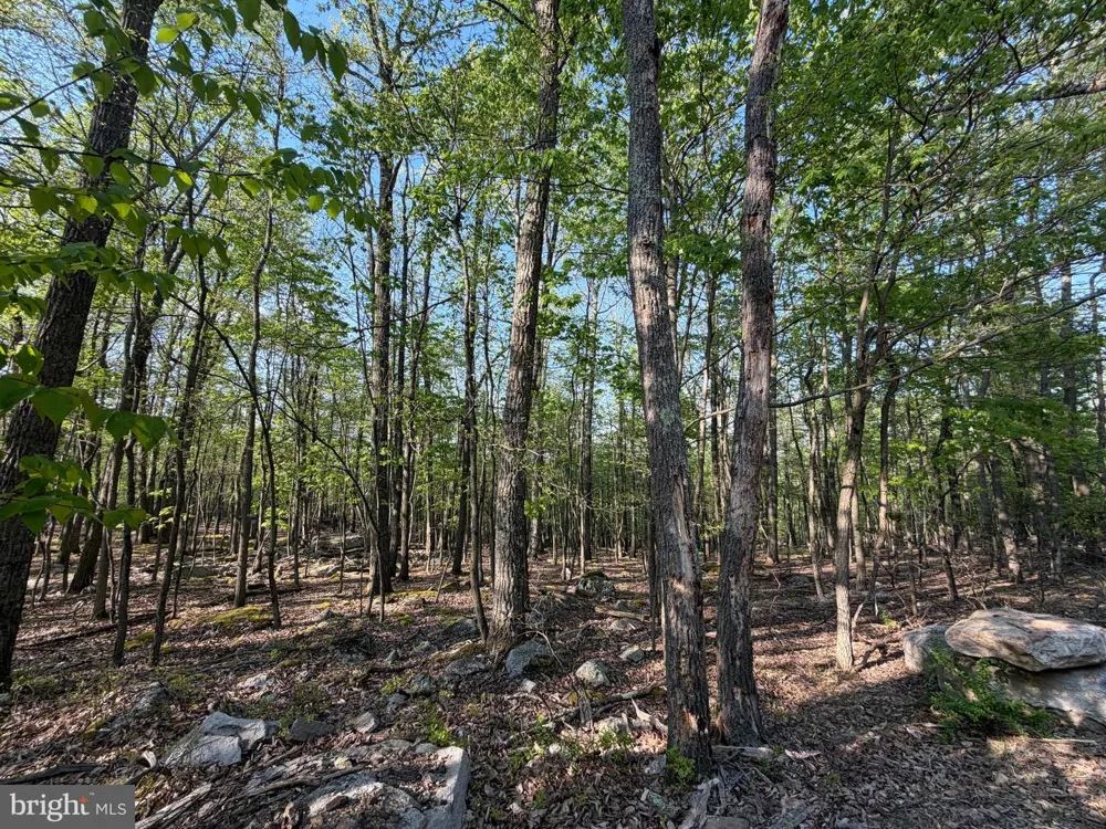 136 SPRING MOUNTAIN DR Zion Grove, PA 17985