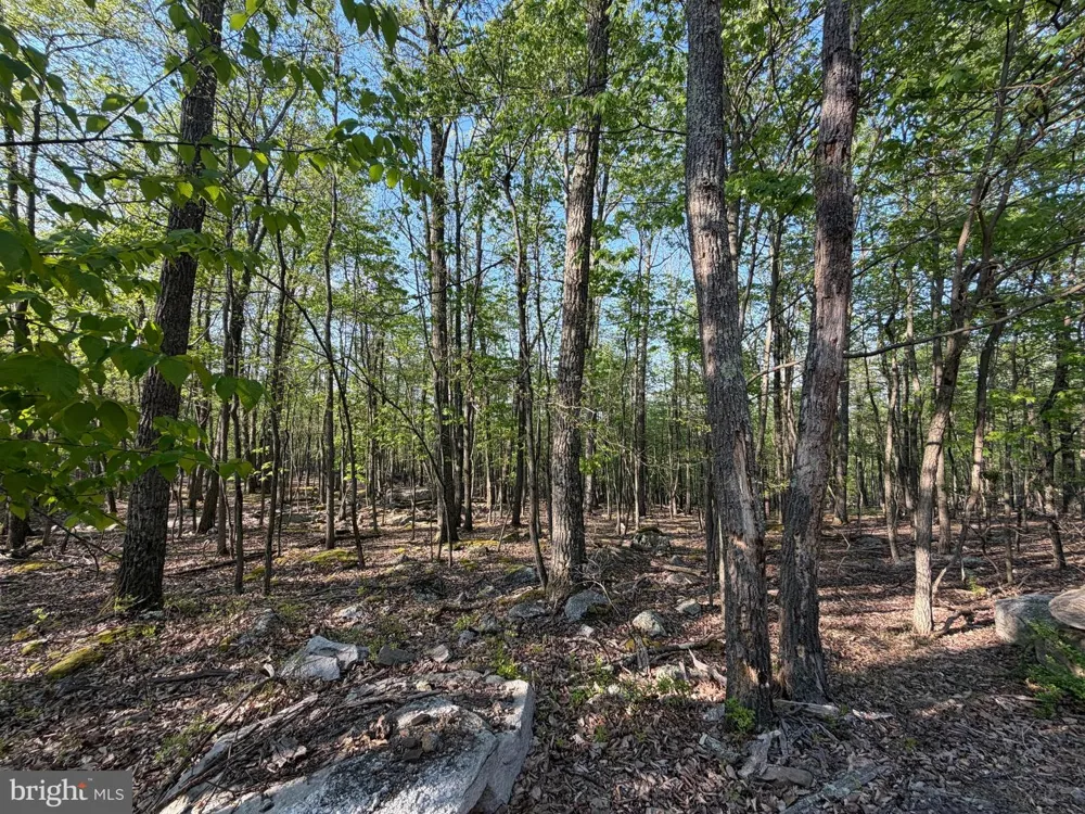 136 SPRING MOUNTAIN DR Zion Grove, PA 17985