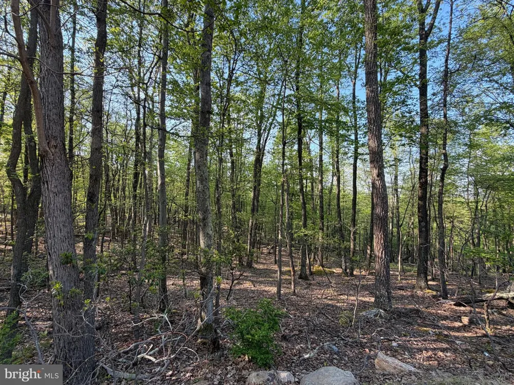 136 SPRING MOUNTAIN DR Zion Grove, PA 17985