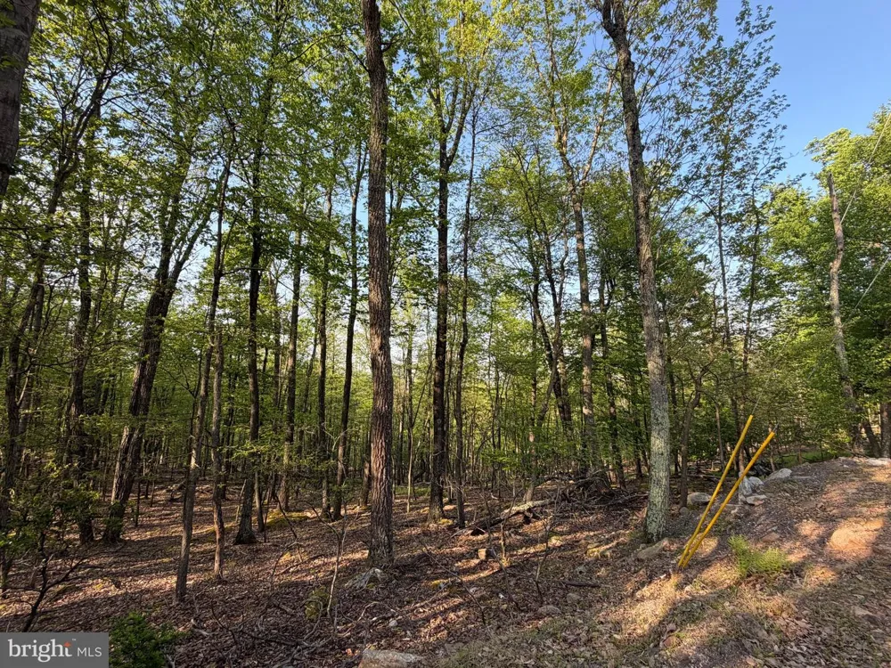 136 SPRING MOUNTAIN DR Zion Grove, PA 17985