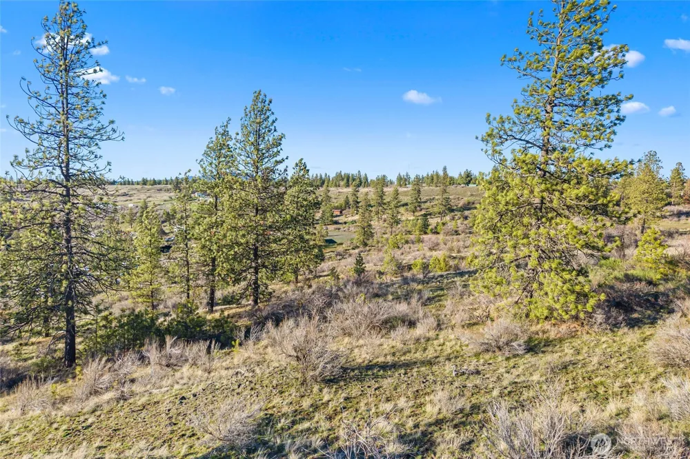 27220 Underwood Canyon Creston, WA 99117