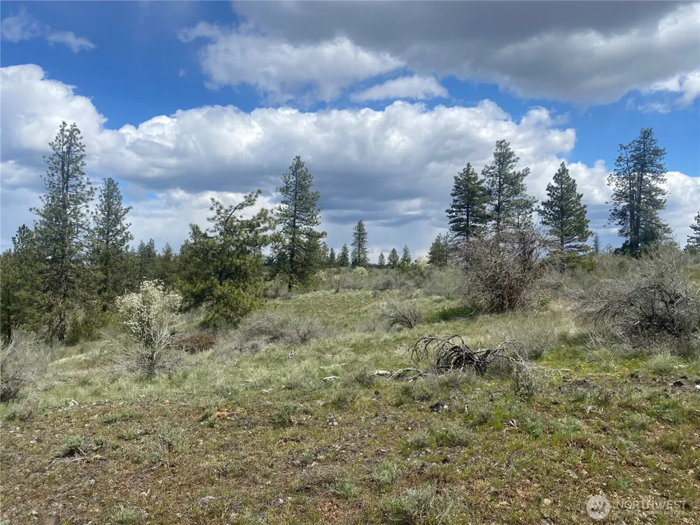 27220 Underwood Canyon Creston, WA 99117