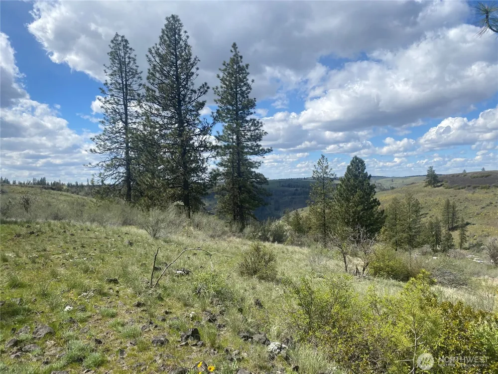 27220 Underwood Canyon Creston, WA 99117