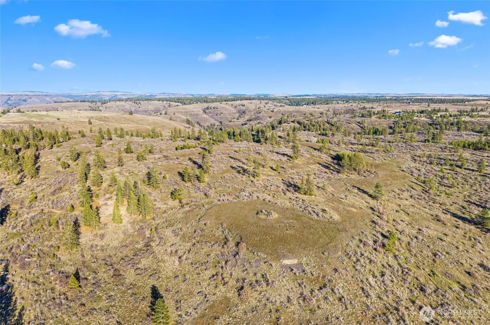 27220 Underwood Canyon Creston, WA 99117