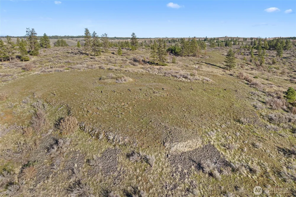27220 Underwood Canyon Creston, WA 99117
