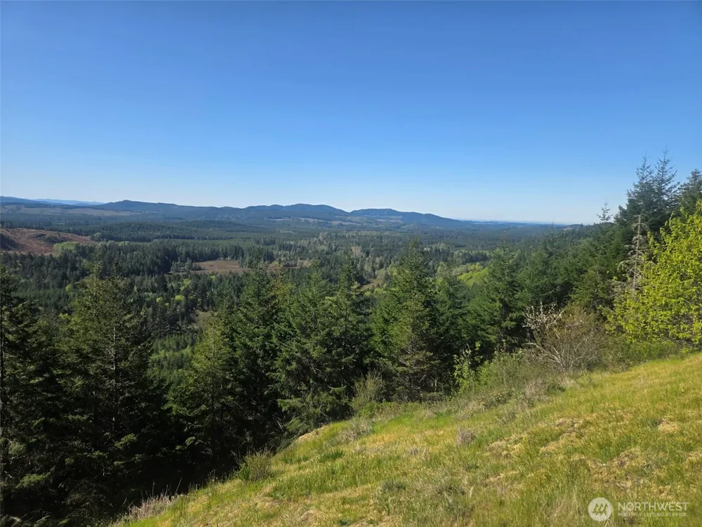 7241 W Cloquallum Road Shelton, WA 98584