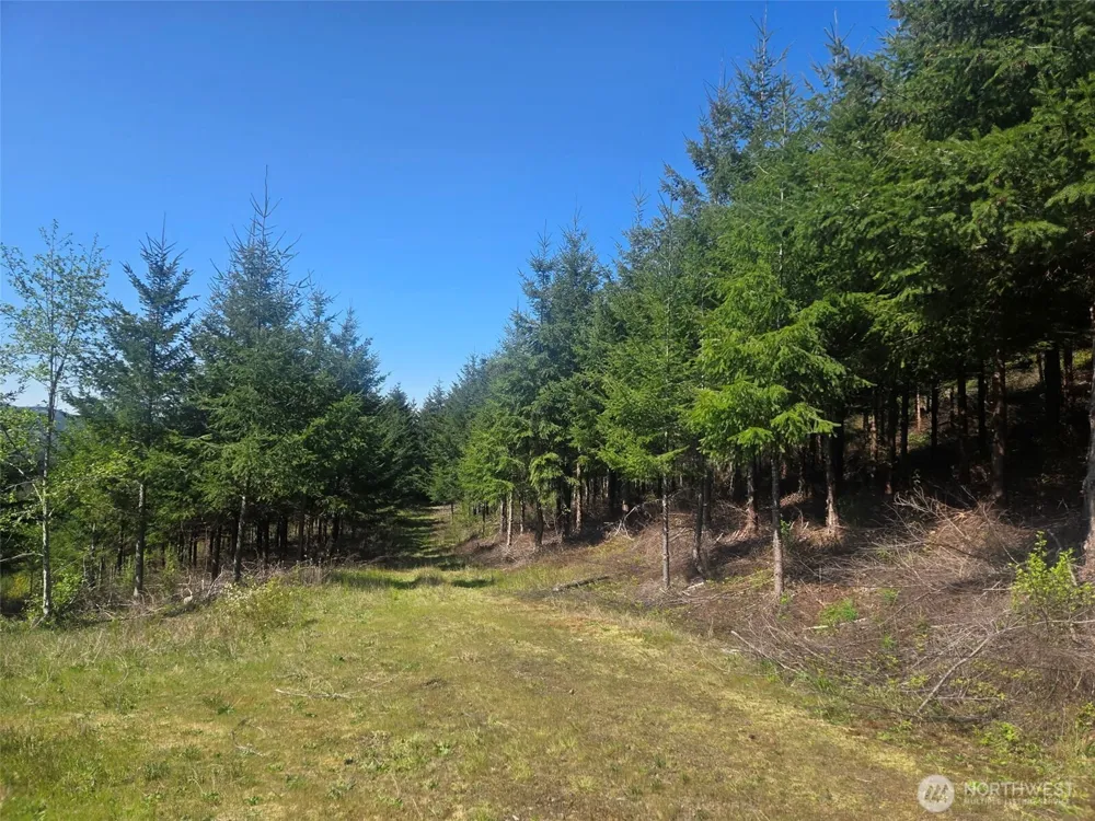 7241 W Cloquallum Road Shelton, WA 98584