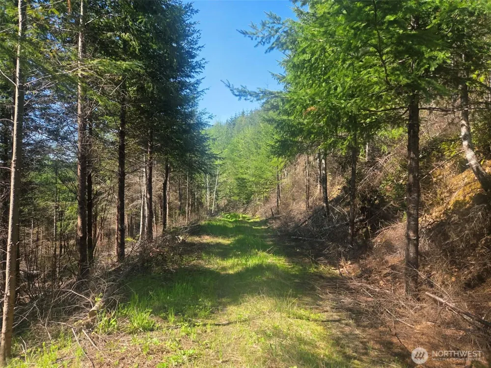 7241 W Cloquallum Road Shelton, WA 98584