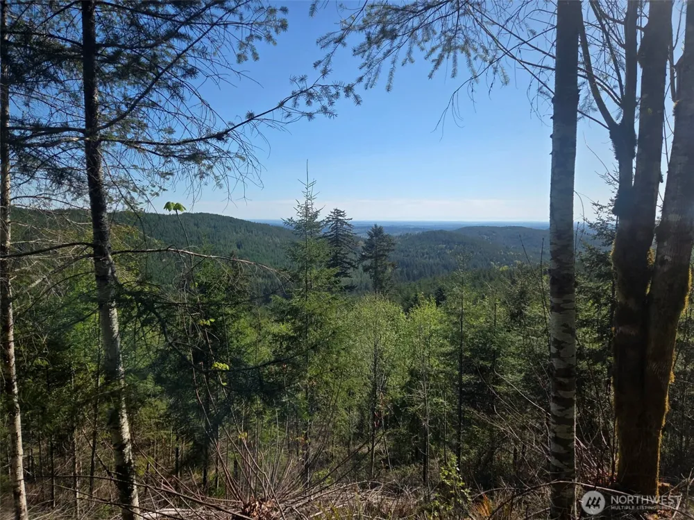 7241 W Cloquallum Road Shelton, WA 98584