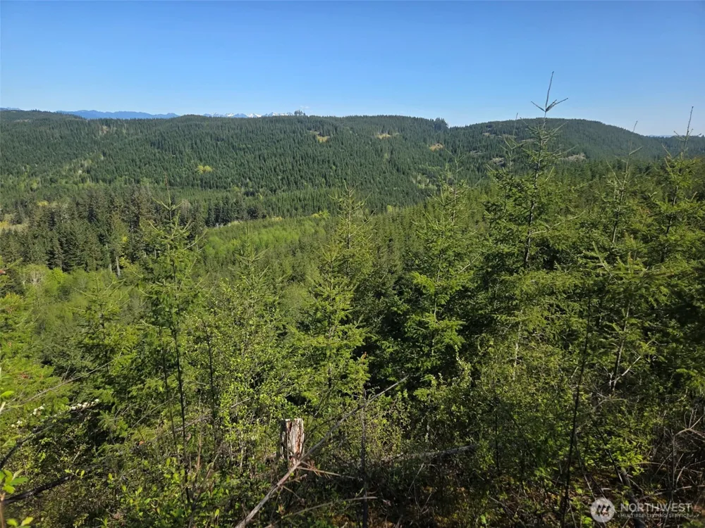 7241 W Cloquallum Road Shelton, WA 98584
