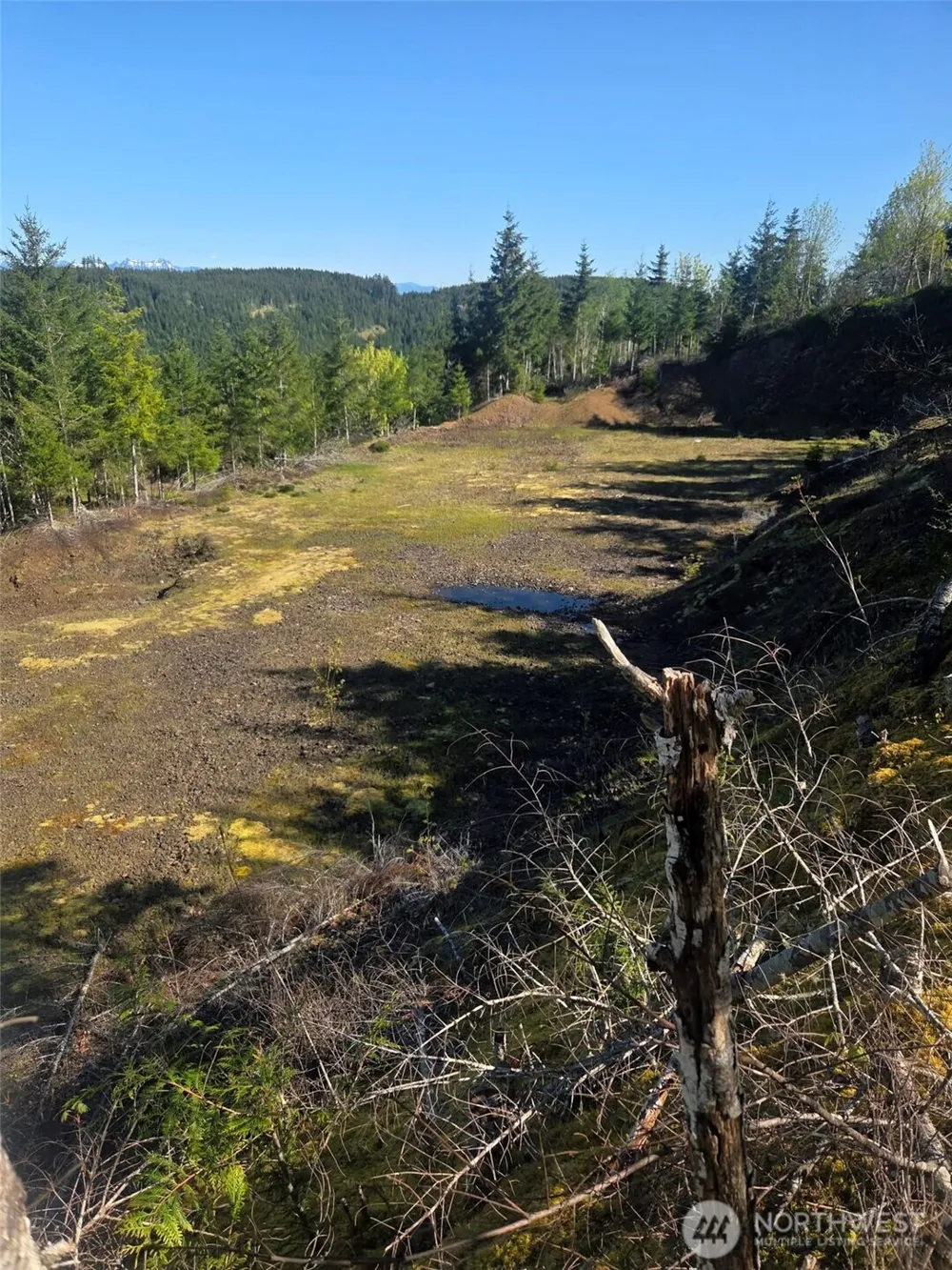 7241 W Cloquallum Road Shelton, WA 98584