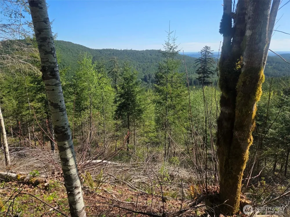 7241 W Cloquallum Road Shelton, WA 98584