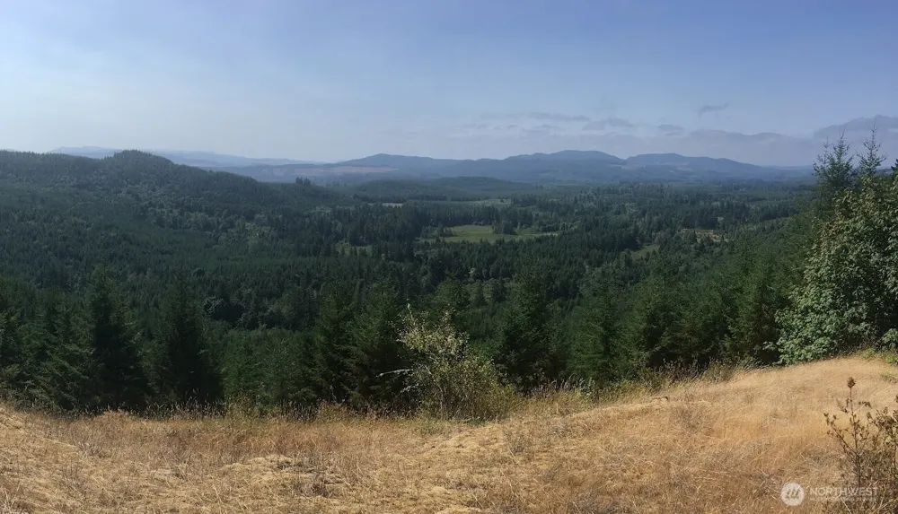 7241 W Cloquallum Road Shelton, WA 98584