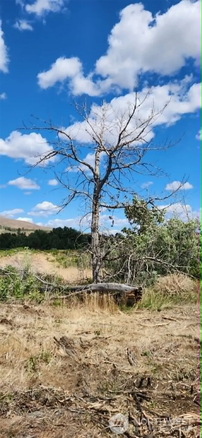 0 XXX Lake Naches Dr Naches, WA 98937