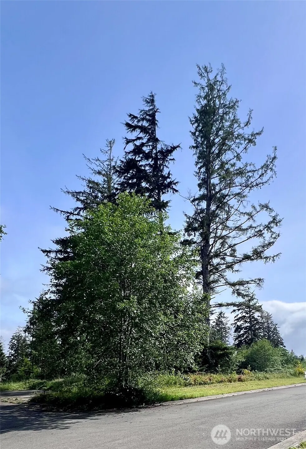 10 Sunrise Lane South Bend, WA 98586