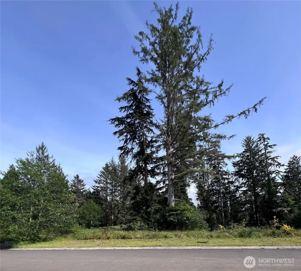 10 Sunrise Lane South Bend, WA 98586