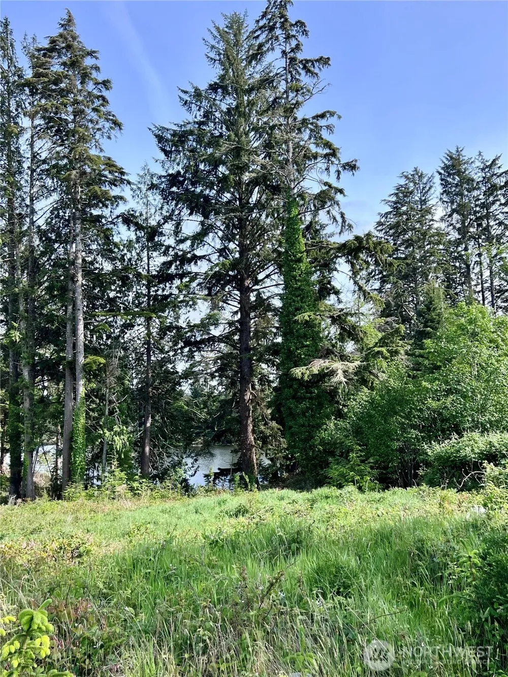 10 Sunrise Lane South Bend, WA 98586