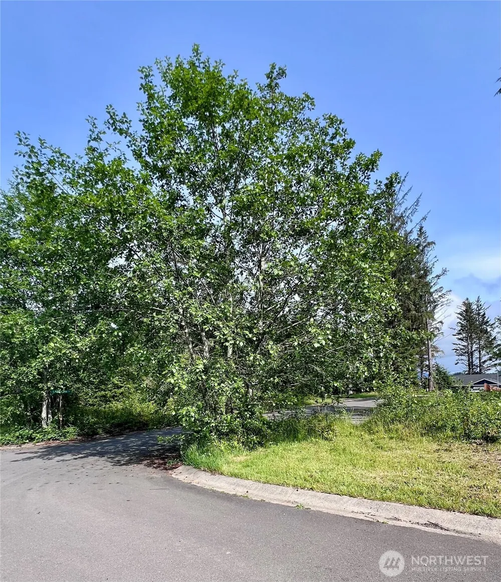 10 Sunrise Lane South Bend, WA 98586