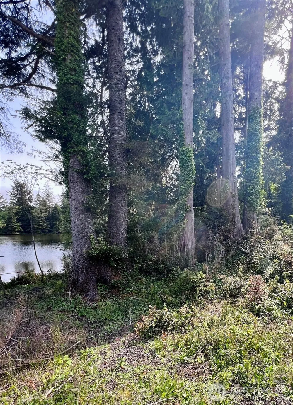 10 Sunrise Lane South Bend, WA 98586