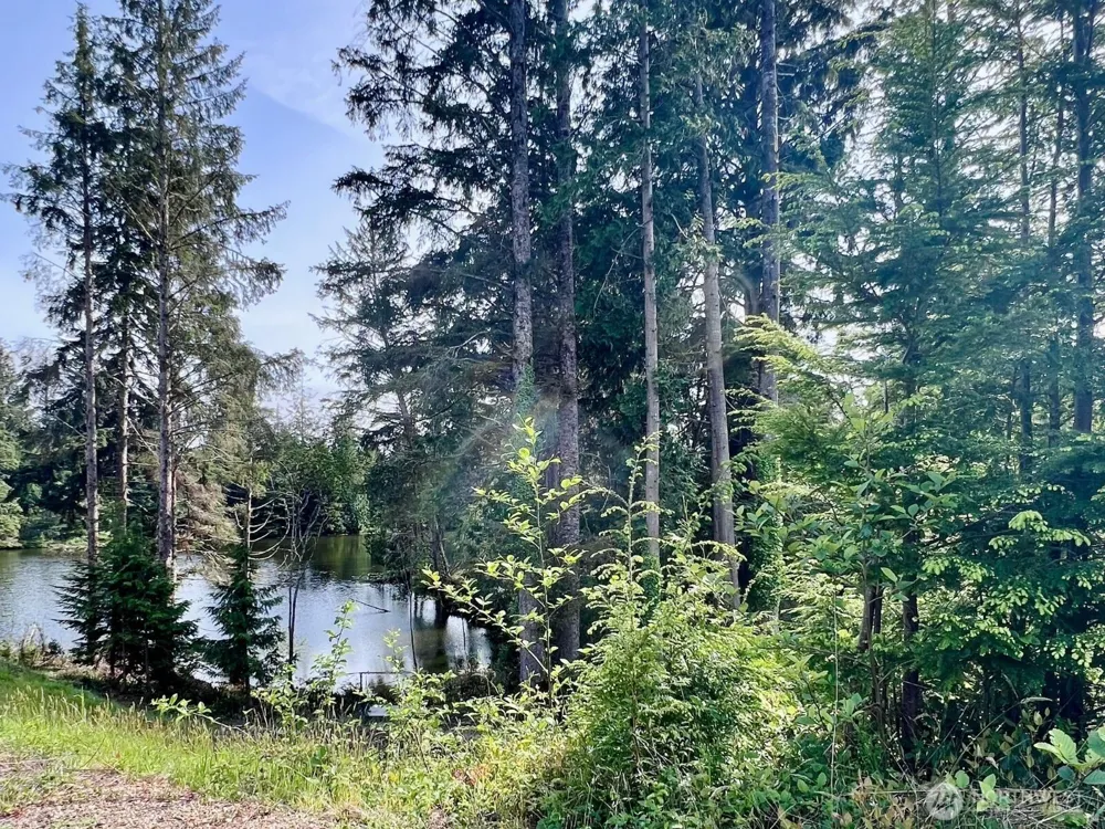10 Sunrise Lane South Bend, WA 98586
