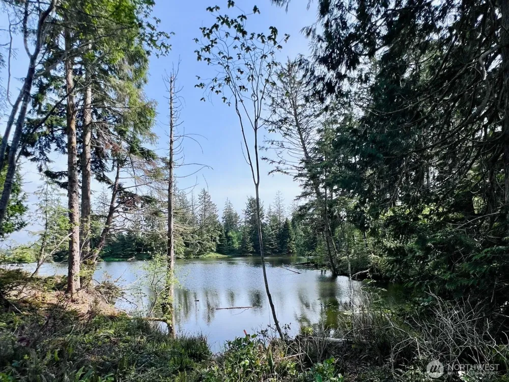 10 Sunrise Lane South Bend, WA 98586