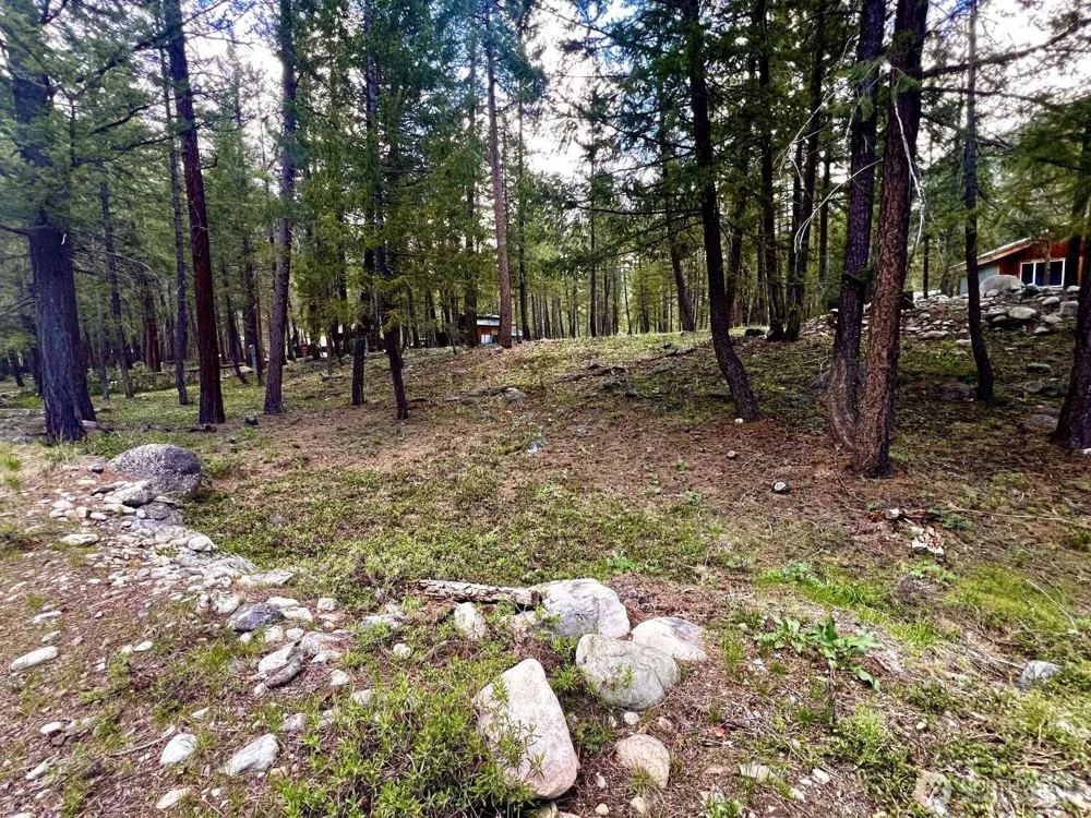 35 Emerson Road Mazama, WA 98833