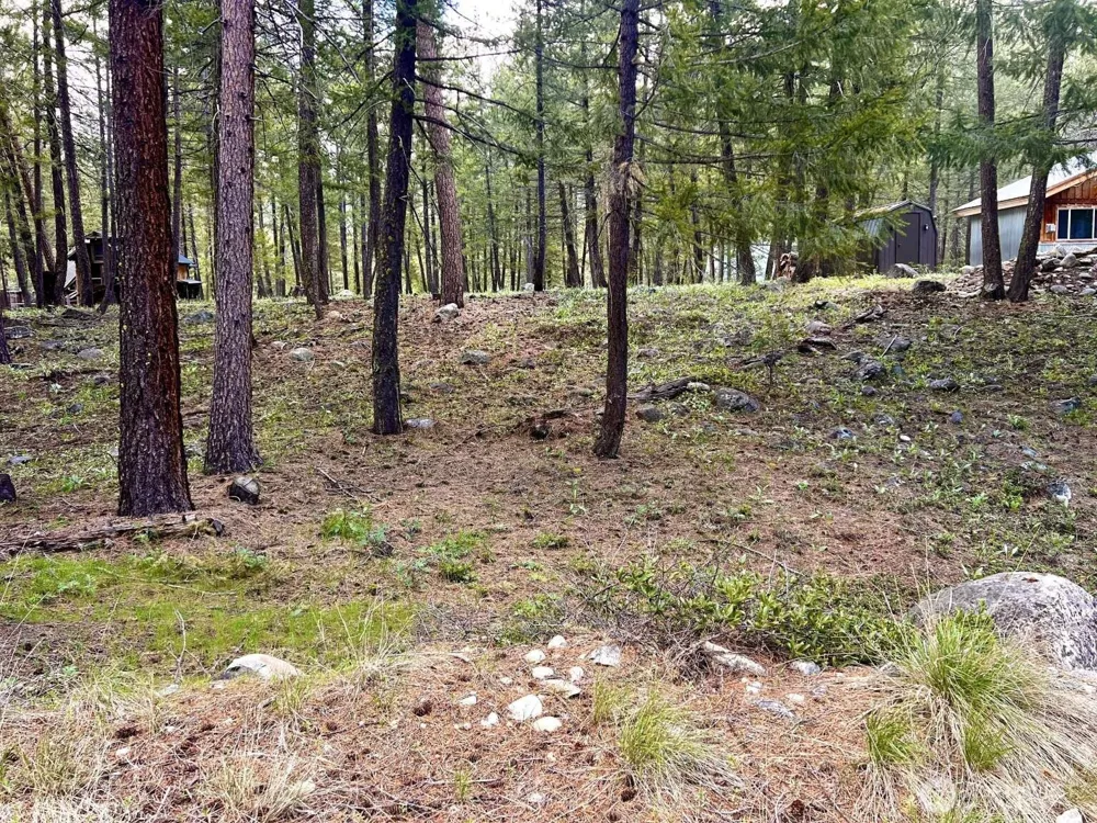 35 Emerson Road Mazama, WA 98833
