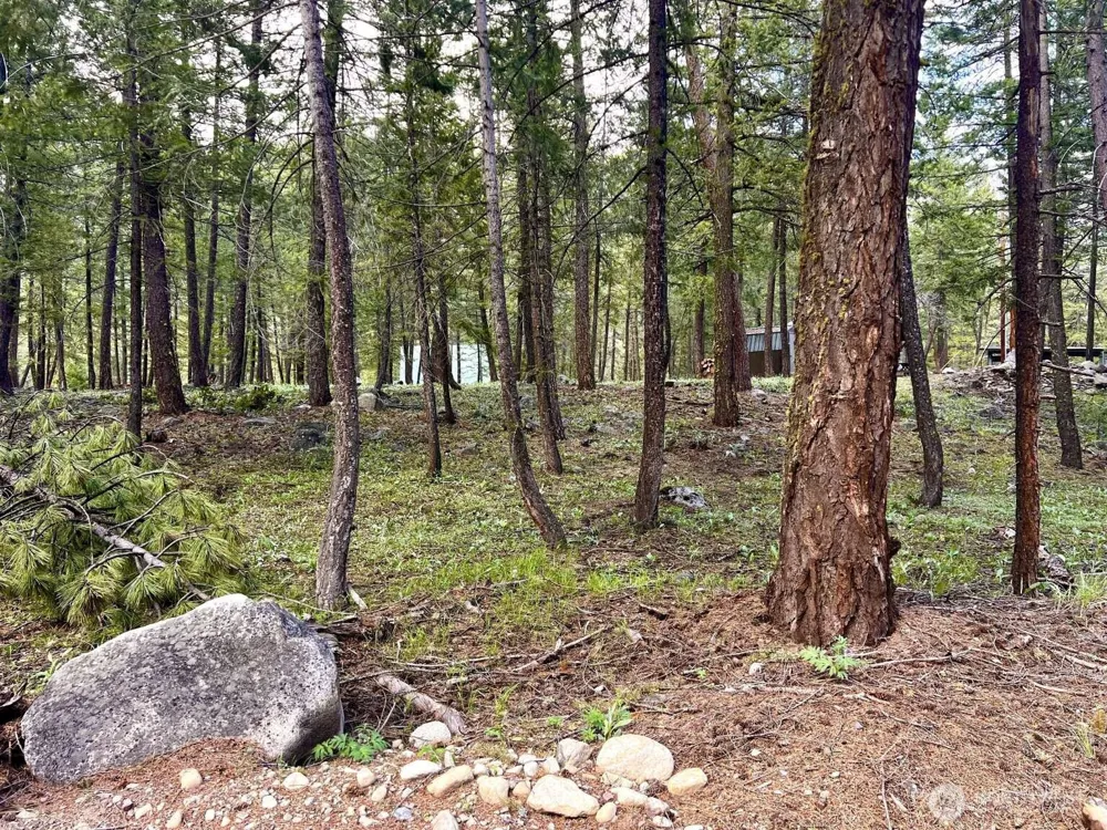 35 Emerson Road Mazama, WA 98833