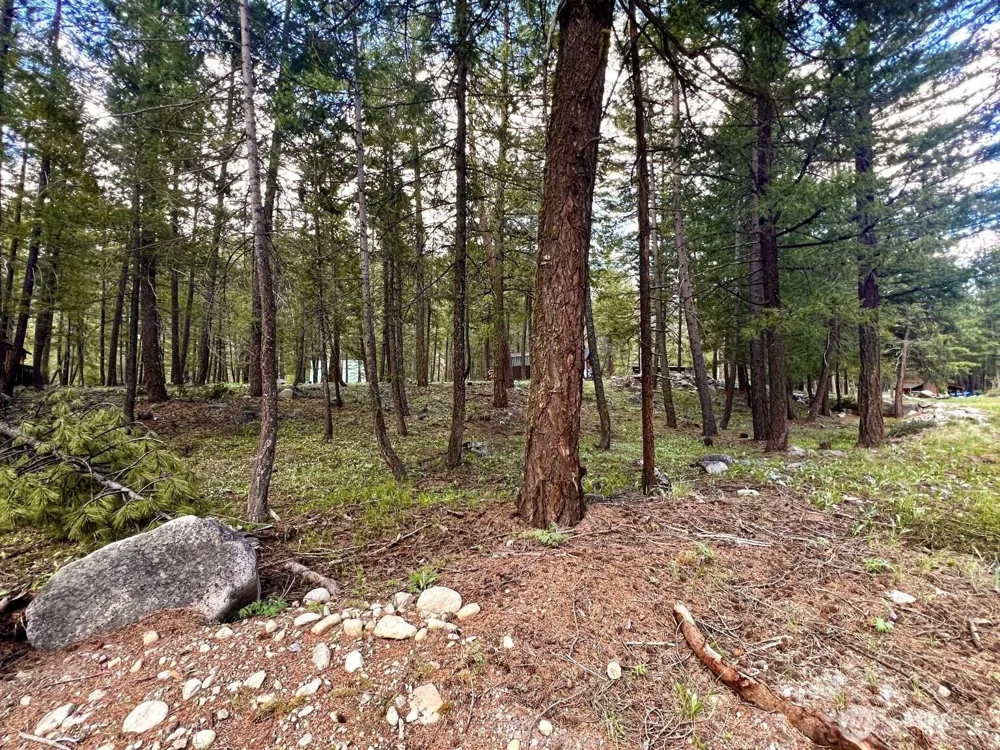 35 Emerson Road Mazama, WA 98833