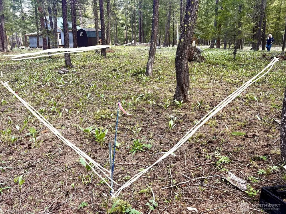 35 Emerson Road Mazama, WA 98833