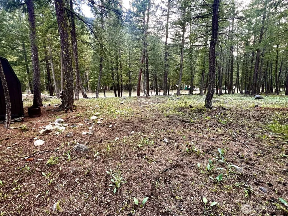 35 Emerson Road Mazama, WA 98833