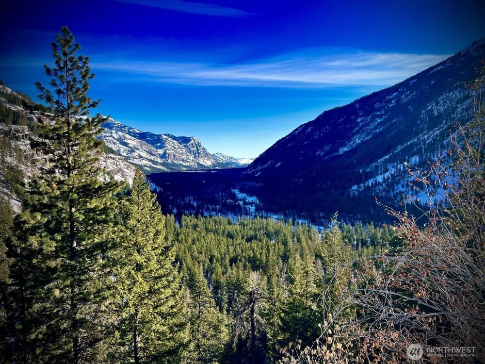 35 Emerson Road Mazama, WA 98833